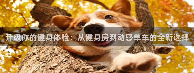意昂4官网