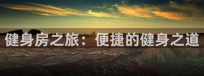 意昂4代理