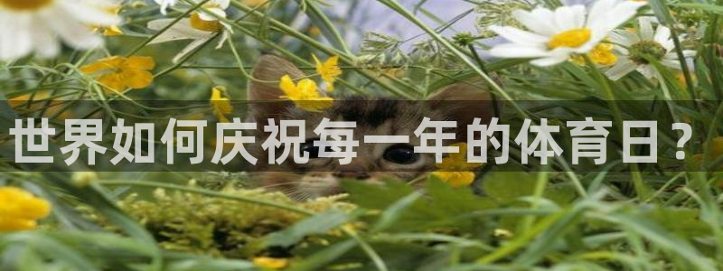 意昂4代理