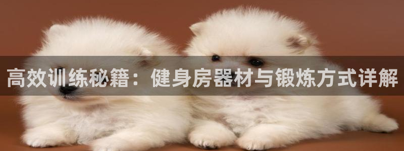 意昂4官方网站