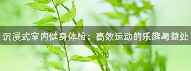 意昂4官方网站