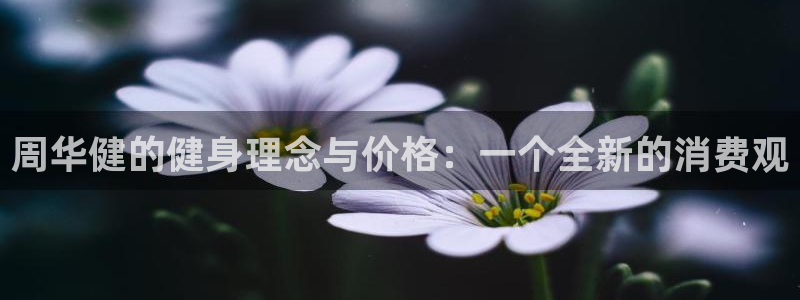 意昂4平台