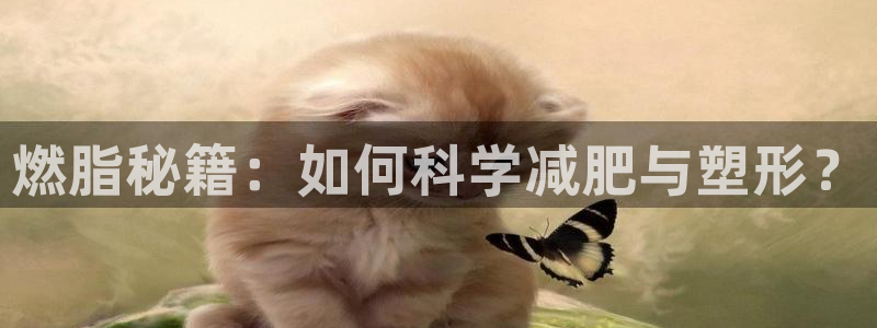 意昂4代理