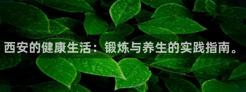 意昂4注册